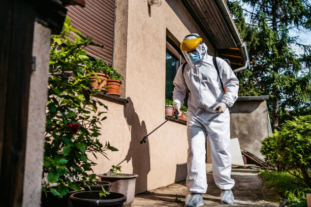 Best Wasp Removal Services  in Burnettown, SC