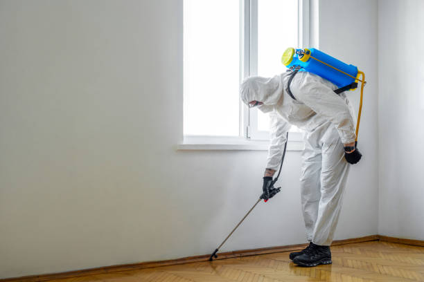 Best Exterminator Services  in Burnettown, SC