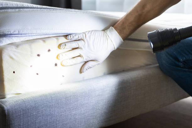 Trusted Burnettown, SC Pest Control Experts